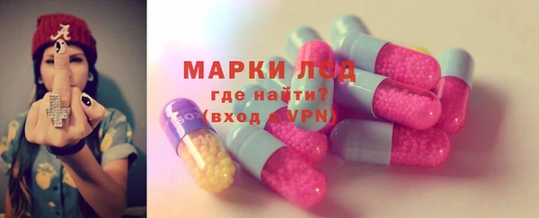 apvp Алзамай