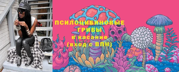 apvp Алзамай
