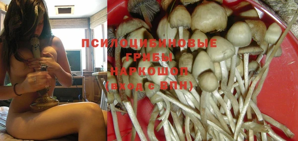apvp Алзамай