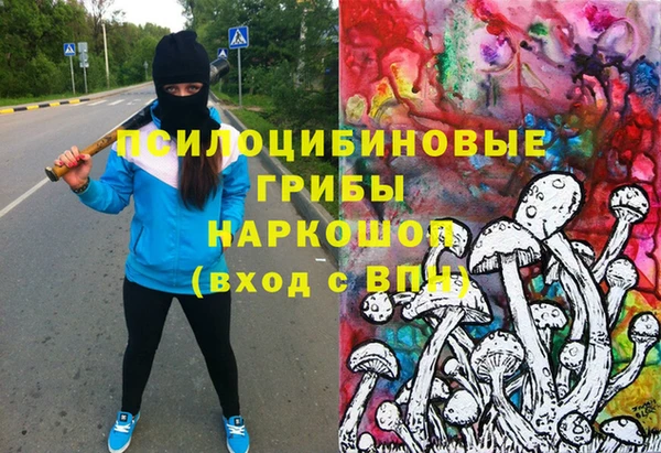первитин Алексин