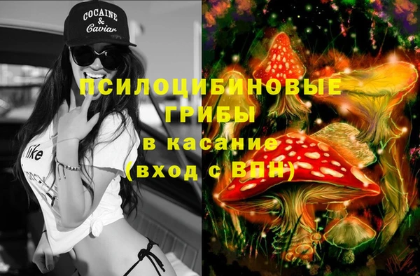 apvp Алзамай